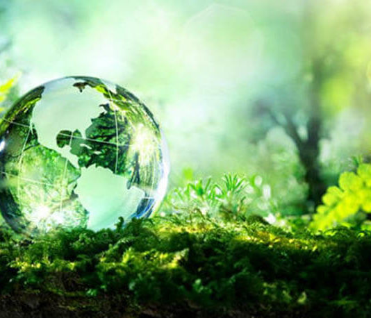 Un fondo di ricerca ticinese per affrontare il cambiamento climatico