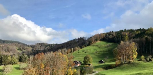 Sì critico alla nuova legge sulla caccia contro il bracconaggio e a tutela dell’economia alpina