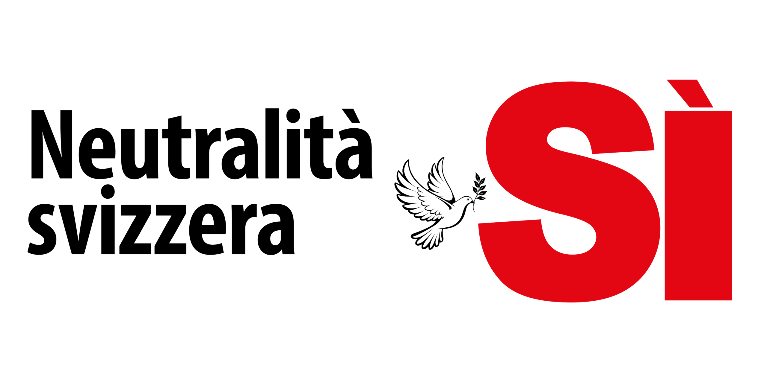 spot_img